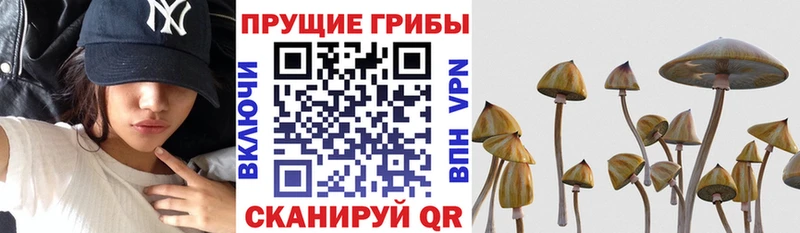 Галлюциногенные грибы мицелий  Кирово-Чепецк 